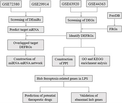 Identification and Validation of Ferroptosis-Related Biomarkers in Septic Cardiomyopathy via Bioinformatics Analysis